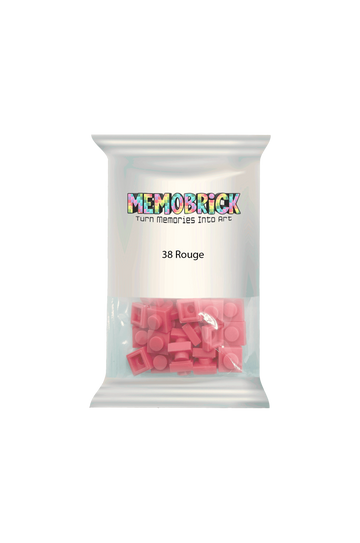 Bag of Bricks - Rouge38 - Memobrick