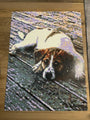 Custom Bricked Mosaic Portrait 30x40
